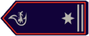 Abteilungskommandant