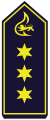 Branddirektor